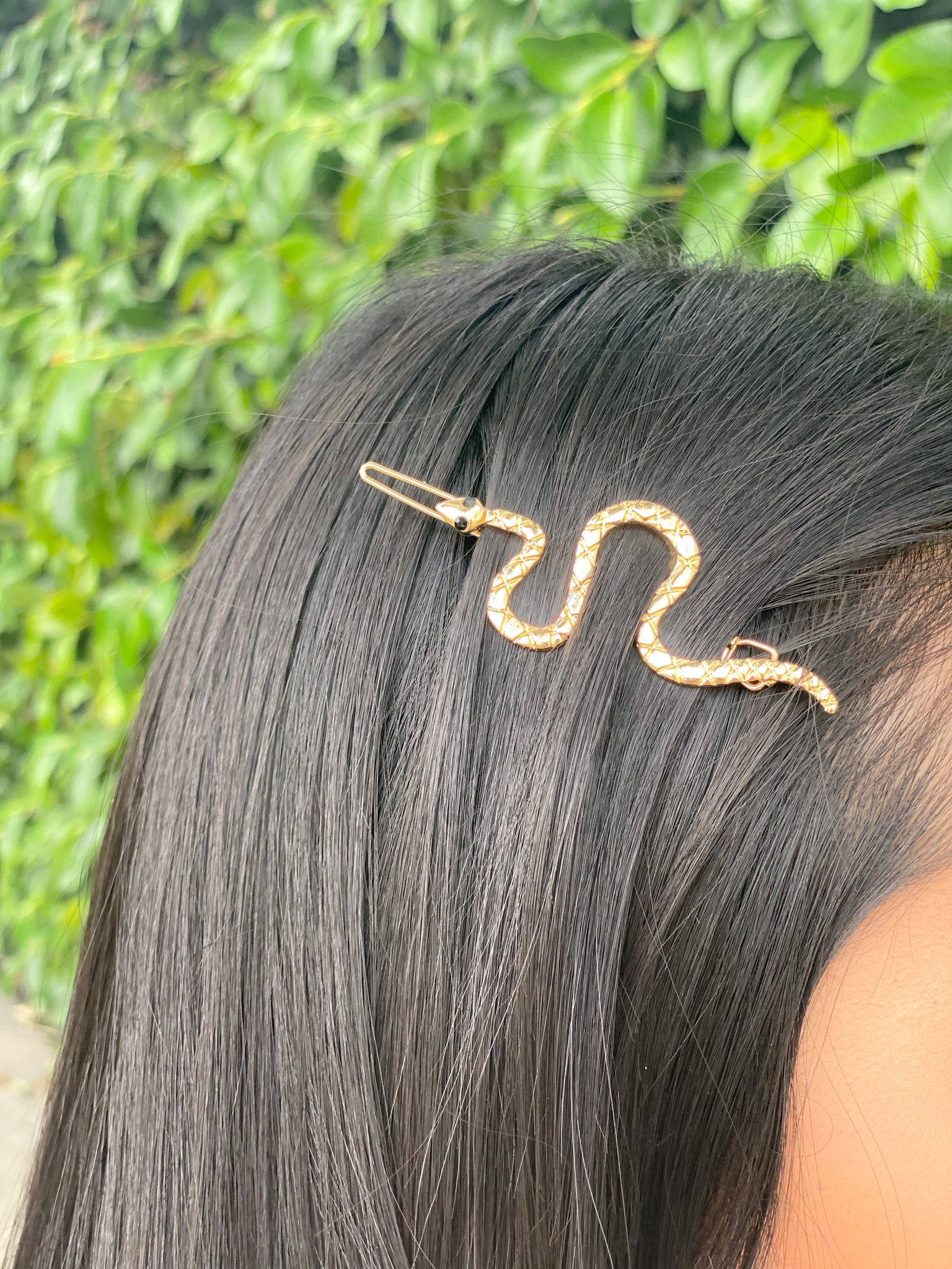 Snake Hairclips